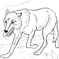 colorear zorro (55)