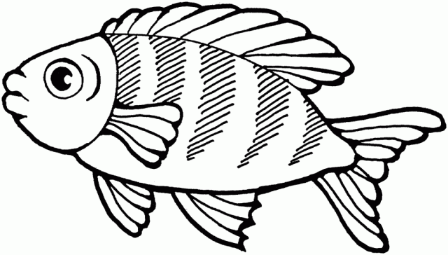 dibujos colorear peces (3).gif