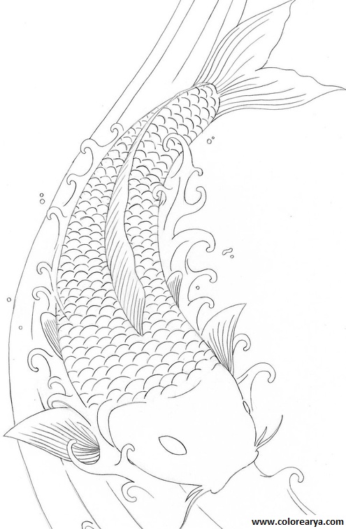 dibujos colorear peces (3)