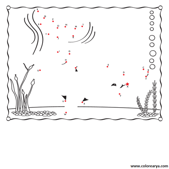 dibujos colorear peces (3).png