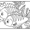 dibujos colorear peces (4)