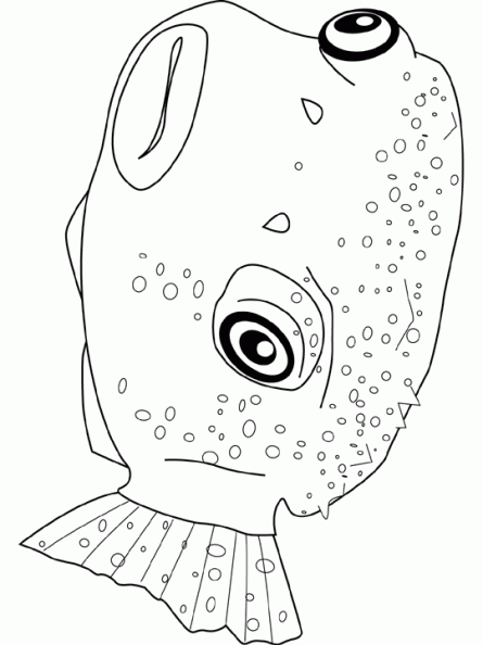 dibujos colorear peces (7).gif