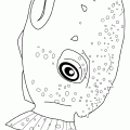dibujos colorear peces (7)