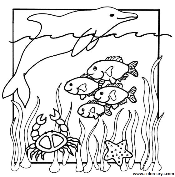 dibujos colorear peces (7).jpg