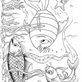 dibujos colorear peces (10)