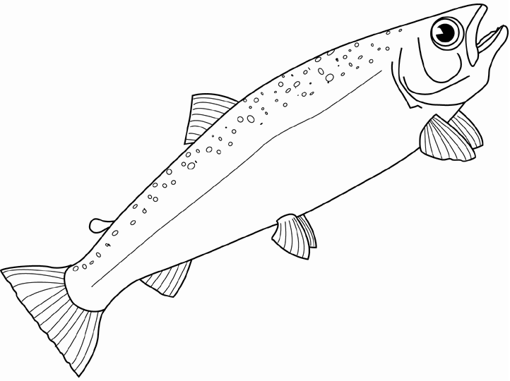 dibujos colorear peces (13).gif