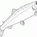 dibujos colorear peces (13)