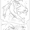 dibujos colorear peces (13)