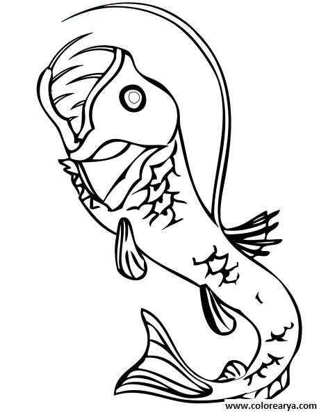 dibujos colorear peces (15).jpg
