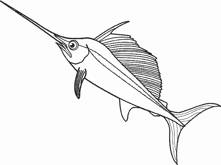 dibujos colorear peces (16).gif