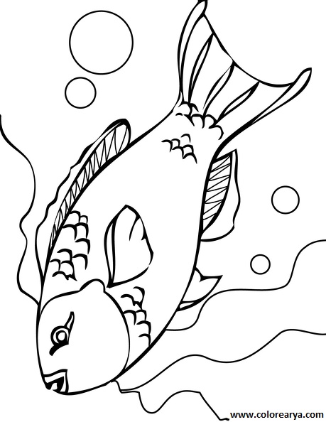dibujos colorear peces (16).jpg