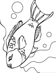 dibujos colorear peces (16)