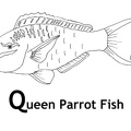 dibujos colorear peces (18)