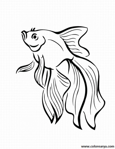 dibujos colorear peces (19)