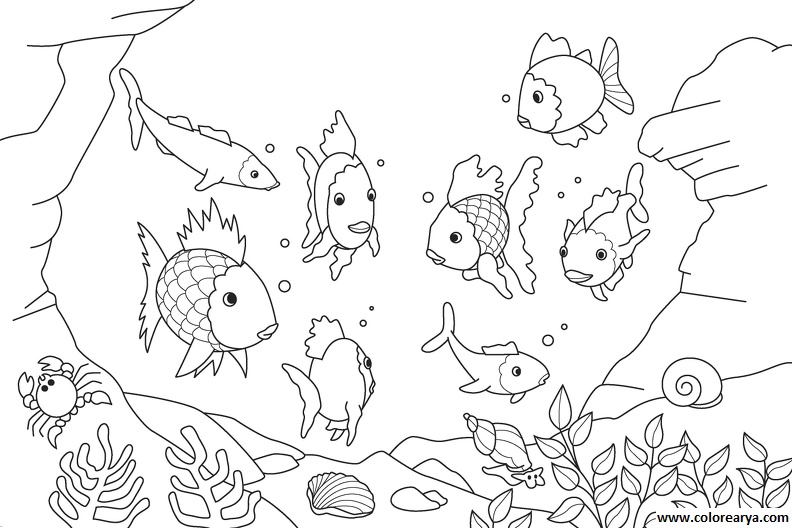 dibujos colorear peces (20)