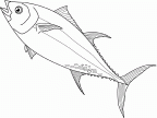 dibujos colorear peces (34)