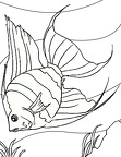 dibujos colorear peces (34)