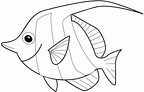 dibujos colorear peces (135)