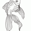 dibujos colorear peces (161)