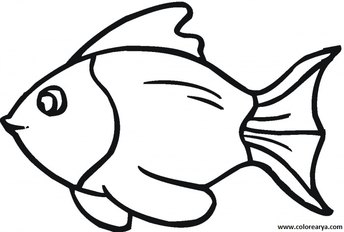 dibujos colorear peces (165).gif