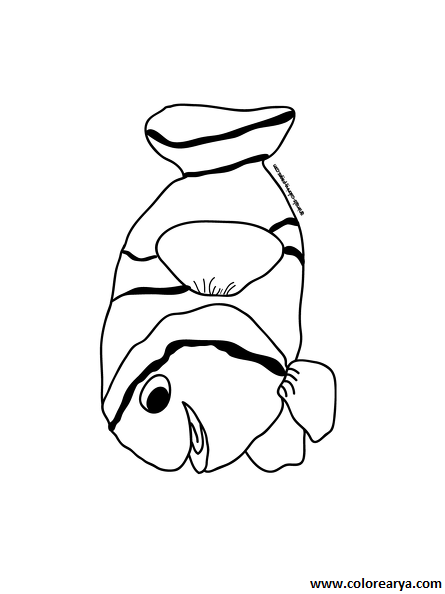 dibujos colorear peces (2000).png
