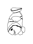 dibujos colorear peces (2000)