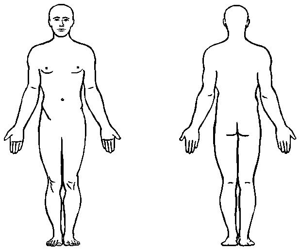 el cuerpo humano (11)