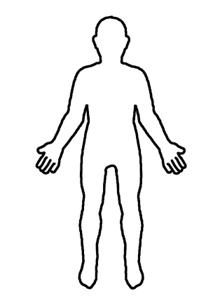el cuerpo humano (19)