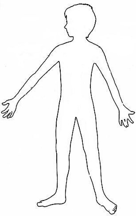 el cuerpo humano (24)