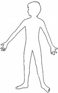 el cuerpo humano (24)