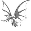 dragones-colorear (184)