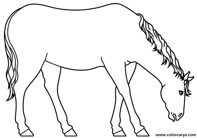 dibujos-de-caballos (1)