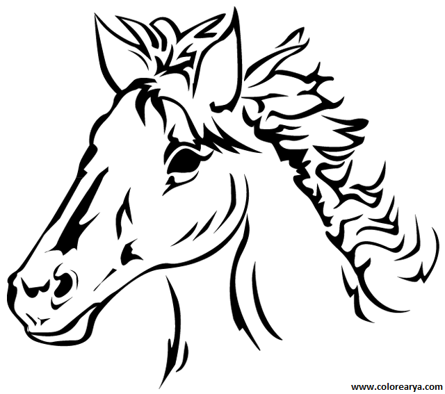 dibujos-de-caballos (2).png