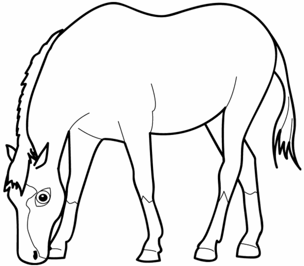 dibujos-de-caballos (4).gif