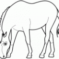 dibujos-de-caballos (4)