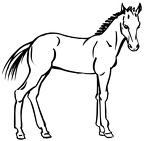 dibujos-de-caballos (3)