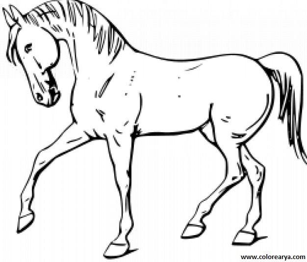 dibujos-de-caballos (4).jpg