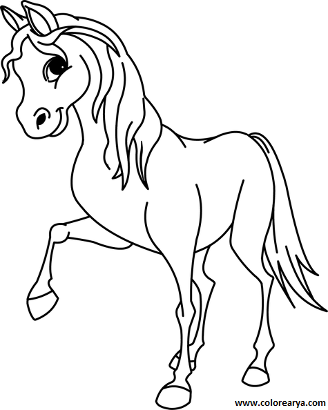 dibujos-de-caballos (5).png