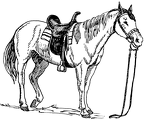dibujos-de-caballos (10)