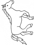 dibujos-de-caballos (11)