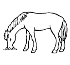 dibujos-de-caballos (12)
