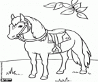 dibujos-de-caballos (13)