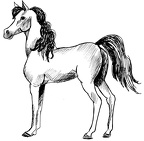 dibujos-de-caballos (16)
