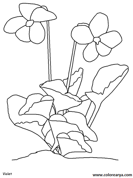 dibujos-de-flores (1).png