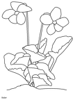 dibujos-de-flores (1)
