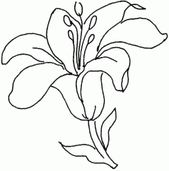 dibujos-de-flores (2)