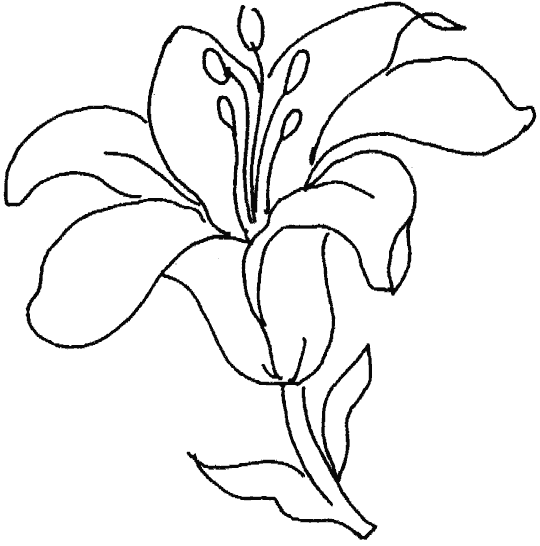dibujos-de-flores (2)