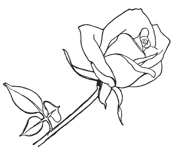 dibujos-de-flores (3)