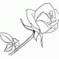 dibujos-de-flores (3)