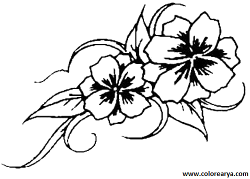 dibujos-de-flores (3).png